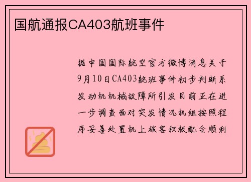 国航通报CA403航班事件
